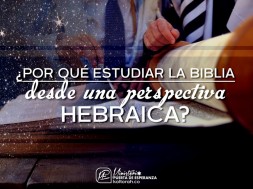 por_que_estudiar_raices_900x650