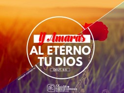 yamarasaleterno_900x650
