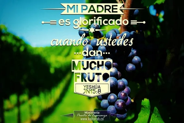 MuchoFruto_600
