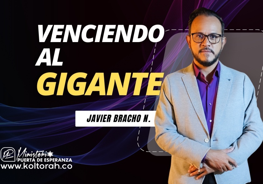 VENCIENDO AL GIGANTE| Javier Bracho Navarro |